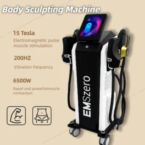 Professional EMSzero EMS Body Sculpt Machine Muscle Stimulator Fat Burning Shaping 5 Handles With Pelvic Floor Cushion