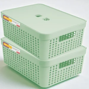 Kit 2 Caixas Organizadoras 11L com Tampa Transparente Empilhável Multiuso LP House